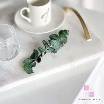 2’li Mermer Tepsi Seti GOLD